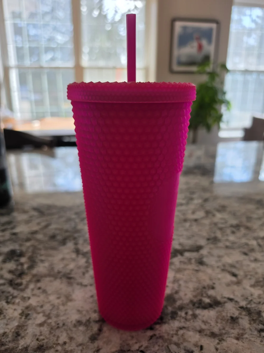 Starbucks MATTE Hot Pink Studded Tumbler with Lid & Straw